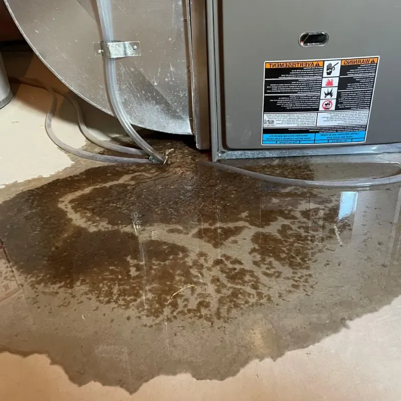 Pipe Burst and Leak Restoration in Kenduskeag, ME